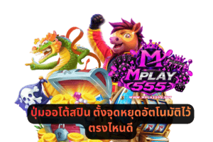 ปุ่มออโต้สปิน ตั้งจุดหยุดอัตโนมัติไว้ตรงไหนดี